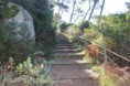 /album/galeria-de-fotos/s-bartolomeu-s-bras-janeiro-2012-004b-jpg/